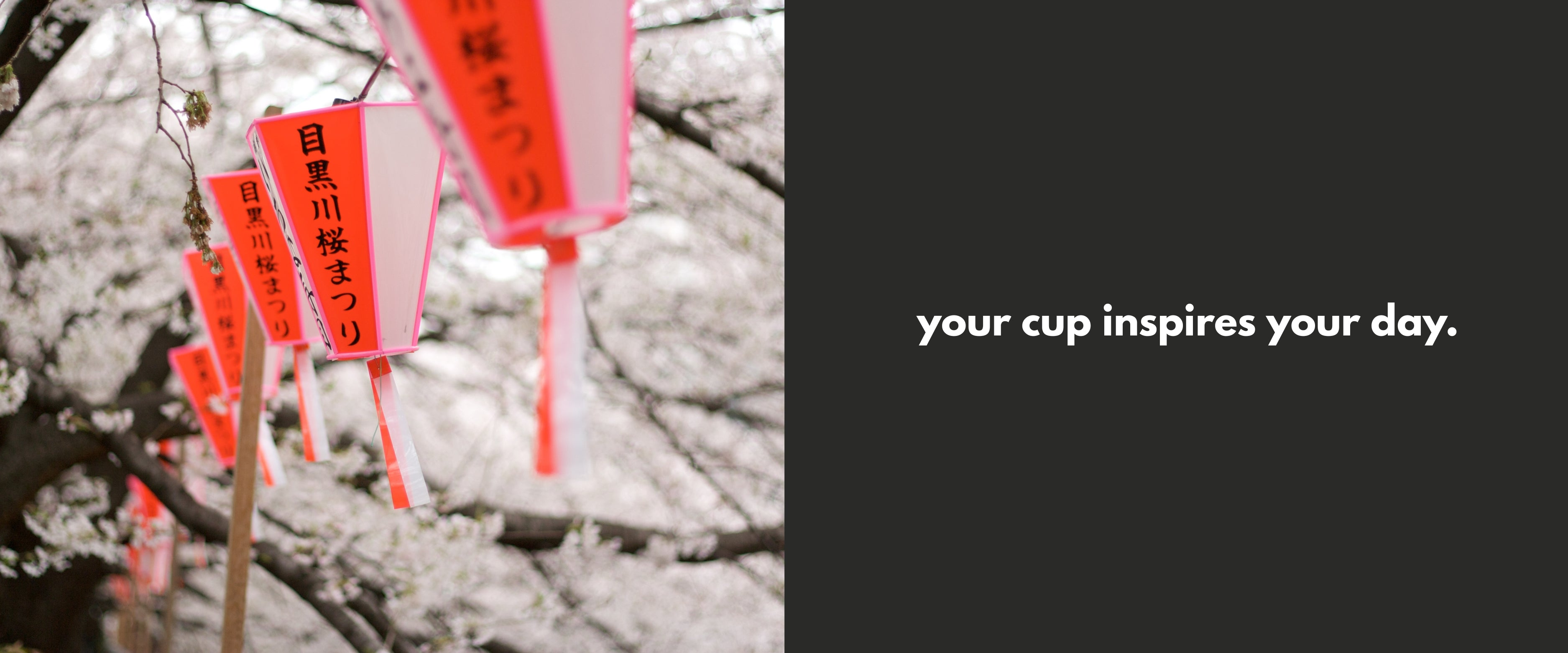 Cups